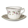 Taza variedades